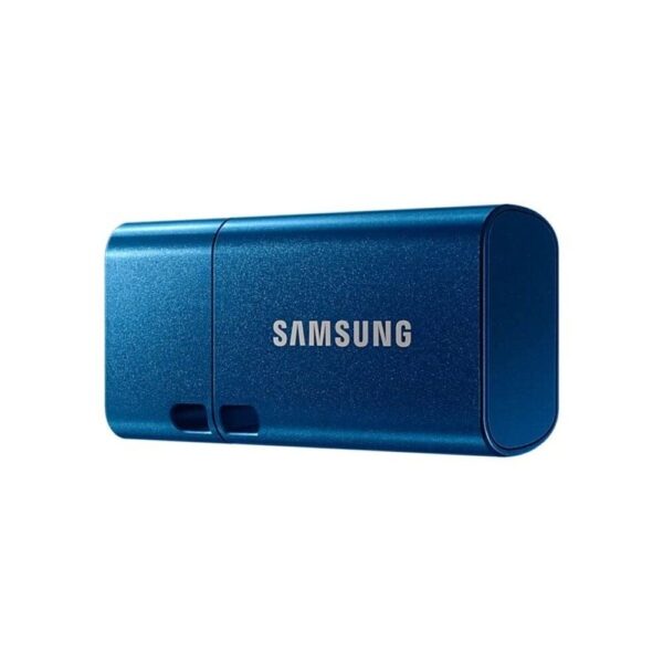 Samsung USB Type-C 256GB 400MB/s 31 Flash Drive (MUF-256DA/APC)