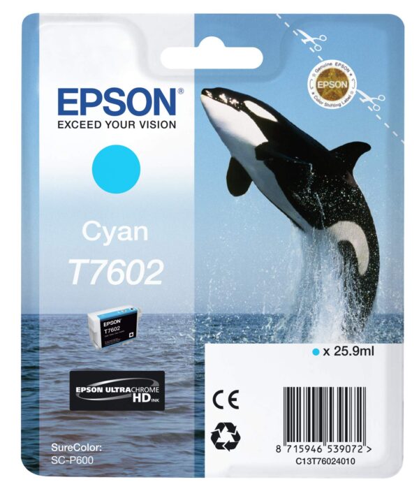 Transcend 2GB Micro/Transflash SD Card